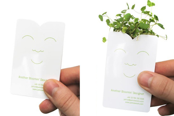 sprout_cards