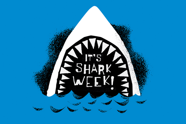 It’s Shark Week! « Mattson Creative